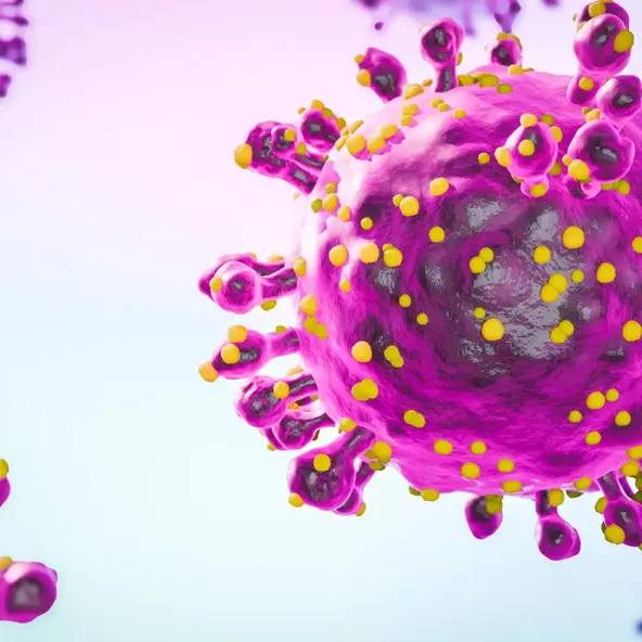 Virus Oropouche širi se Latinskom Amerikom i opasniji je nego se prije mislilo 