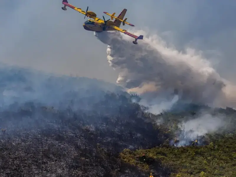 10 katastrofalnih požara u Hrvatskoj izazvanih nemarom: Gorile šume, otoci i parkovi prirode