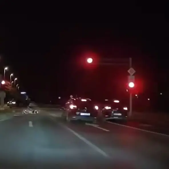 Vozač u Zagrebu prošao kroz crveno dok je obitelj prelazila zebru