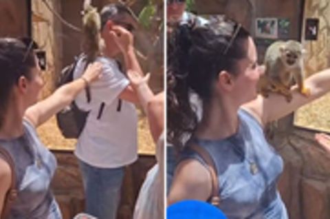 Egzotična avantura! Davorka iz 'Sjena prošlosti' ostvarila svoj san na Tenerifima, objavila simpatičan video s majmunom