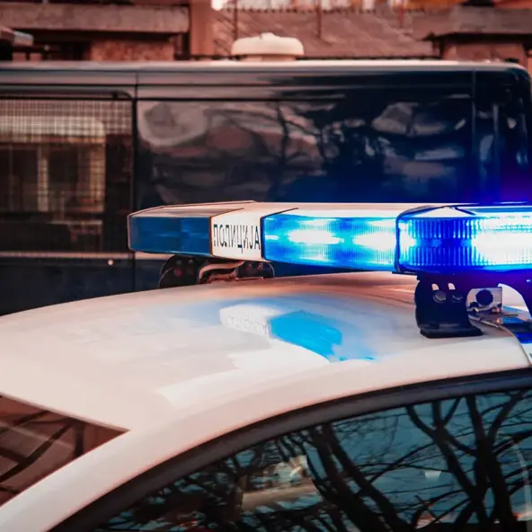 Strašna tragedija na farmi svinja u Srbiji - Cijela obitelj upala u gnojnicu i poginula