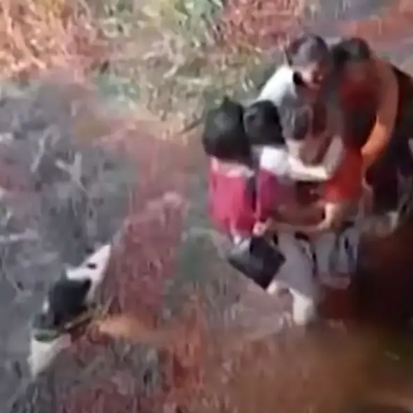 Proveli su 36 sati s aligatorima! Čudo preživljavanja u amazonskoj močvari nakon kvara aviona